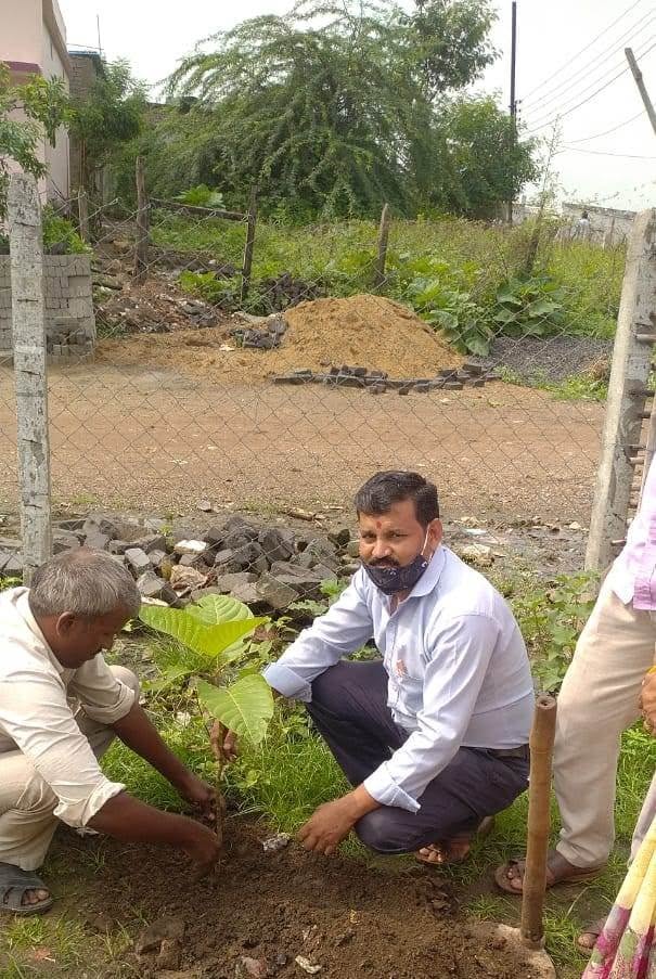 469067594 35 briksharopan